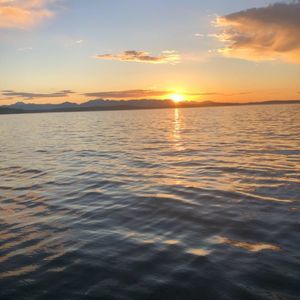 Meet your Posher, Agile